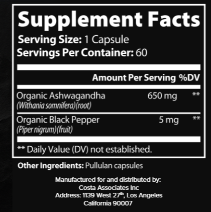 The Great Lock In™ | Focus & Recovery Stack