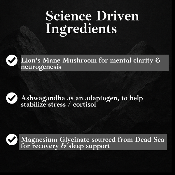 The Great Lock In™ | Focus & Recovery Stack